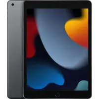 Apple iPad 10.2 Wi-Fi 256 GB Grau - Tablette 10,2" - 25,9cm-Display