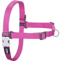 Red Dingo Harnais Pour Chien No-pull