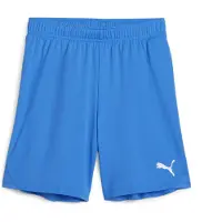 Puma Pantalon Team Goal S0062