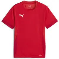 Puma T-Shirt fonctionnel rouge / blanc