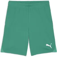 Puma Pantalon Team Goal S0060