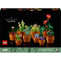 LEGO Botanicals - Les Plantes Miniatures 10329