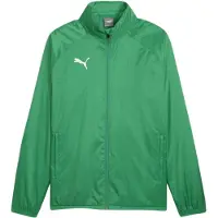 Puma Veste de sport 'TeamGoal' vert / blanc