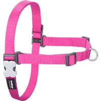 Red Dingo Harnais Pour Chien No-pull