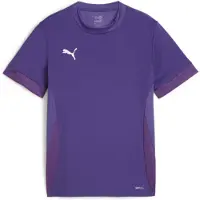 Puma Shirt TeamGOAL Matchday Enfants