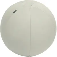 Leitz Ergo Sit Ball 55cm L.grey