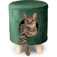 Maxxpro Panier pour Chat sur Pieds - Pouf - 100% Polyester - jusqu'à 80kg - Ø 33 cm - Vert