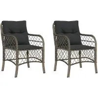vidaXL Chaises de jardin avec coussins 2 pcs. Gris Poly Rattan