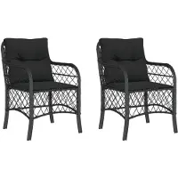 vidaXL Chaises de jardin avec coussins 2 pcs. noir poly rotin