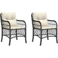 vidaXL Chaises de jardin avec coussins 2 pcs. noir poly rotin