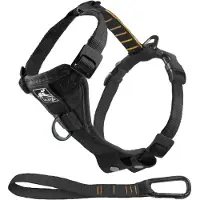 Kurgo Harnais Tru-Fit-Smart (avec sangle de sécurité), couleur : noir, taille : XS