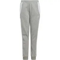 Adidas Tiro24 Tracksuit Pants Gris 13-14 Years Enfants