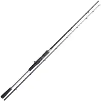 Shimano Fishing Yasei Pike Baitcasting Rod Argenté 2.50 m / 40-120 g