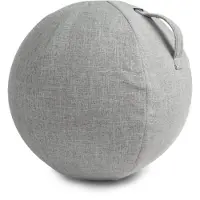 VirtuFit Housse de protection pour ballon de fitness