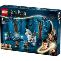 LEGO Harry Potter Forbidden Forest : magical creatures, Animal Construction Toy for 8 year old with Glow-in-the-Dark Elements and Hardwood Figure, Gift for Boys and Girls 76432