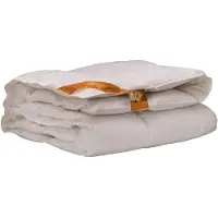 Ten Cate Couette Ten Cate - Couette 200x220 - Couettes - Couette en duvet 200x220 - Couette en duvet pour toute l'année - Couette été & hiver - Indice de chaleur 3
