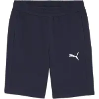 Puma Pantalon de sport 'TeamGoal' marine / blanc