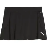 Puma Jupe de sport 'TeamGOAL'