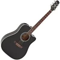 Takamine Japon EF341sc Black