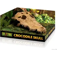 Exo Terra Crâne De Crocodile Cachette Sûre