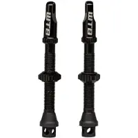 WTB tyres Tcs Al Max Flow Presta 44 Mm Valves 2 Units Argenté