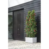 Elho Jardinière Rectangle En Plastique 80 X 40 Cm Vivo Long Blanc