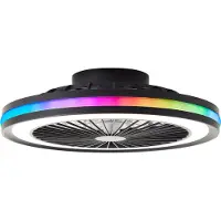 Brilliant Palmero - Ventilateur de plafond - Ventilateur de plafond - LED 40W - 3000K-6500K - Dimmable - Noir