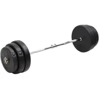vidaXL Barre de curling avec poids 90 kg