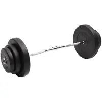 vidaXL Barre de curling avec poids 60 kg