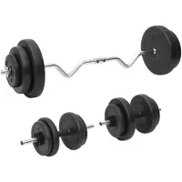 vidaXL Haltère curl et haltère court avec poids 60 kg
