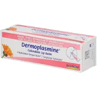 Boiron DERMOPLASMINE BAUME LÈVRES 10 g Baume