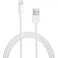 Apple LIGHTNING TO USB (0.5M)