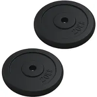 vidaXL Disque d'haltères 40 kg en fonte