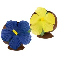 Boland Party Tasse Kokosnuss