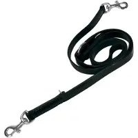 Gloria Laisse Pour Chien Medina Training