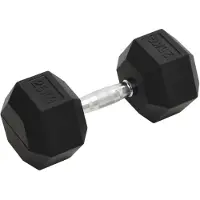 vidaXL Haltère court 25 kg en fonte