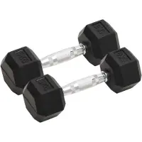 vidaXL Haltères courts 2 pièces de 10 kg en fonte
