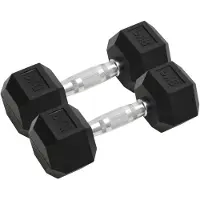 vidaXL Haltères courts 2 pièces 16 kg en fonte