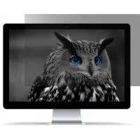 Natec OWL FILTRE DE CONFIDENTIALITÉ SANS BORDS POUR ORDINATEUR 35,6 CM
