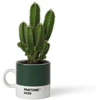 Copenhagen D - Tasse à expresso PANTONE (vert foncé 3435)