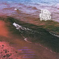 Ginza.se Dead Feathers - Full Circle [Vinyl Lp]