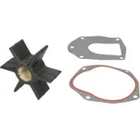 Sierra Kit de réparation, pompe à eau 18-3187