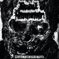 Suburban Bestial Putrefaction - Eternal Flesh Ripping Chaos [Vinyl] Uk - Import