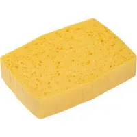 Spontex 10 eponges