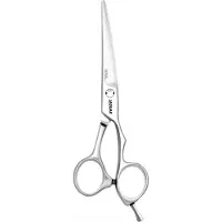 Jaguar Silver Line Ciseaux à Cheveux Xena 5,5" Argent
