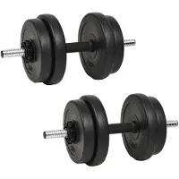 vidaXL Haltère court avec poids 40 kg