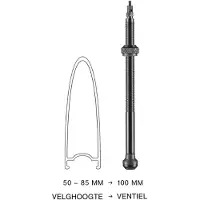 Schwalbe Tubeless Presta Valves 2 Units Noir 100 mm