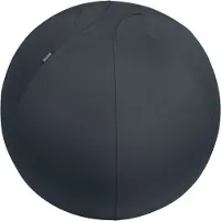 Leitz Ergo Sit Ball 65cm D.grey