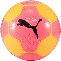 Puma 5