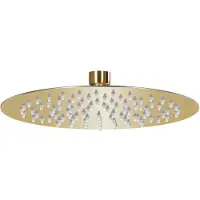vidaXL Douche de pluie en acier inoxydable 20 cm ronde Golden